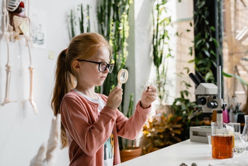 stem-lab